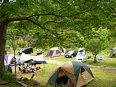 千葉県 オートキャンプ フルーツ村