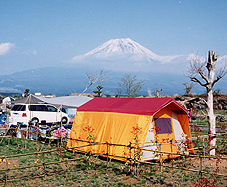 場 朝霧 キャンプ 高原 オート